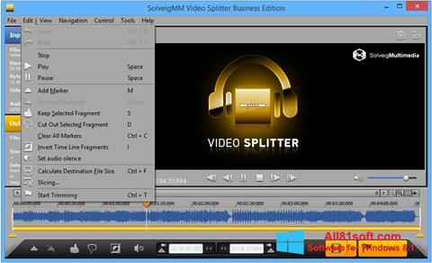 Ảnh chụp màn hình SolveigMM Video Splitter cho Windows 8.1