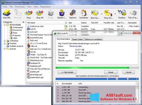 Ảnh chụp màn hình Internet Download Manager cho Windows 8.1