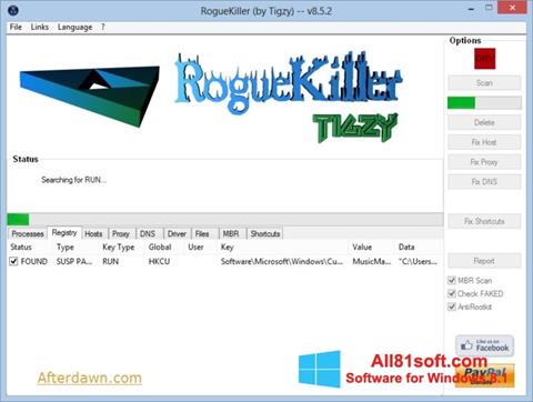 Ảnh chụp màn hình RogueKiller cho Windows 8.1