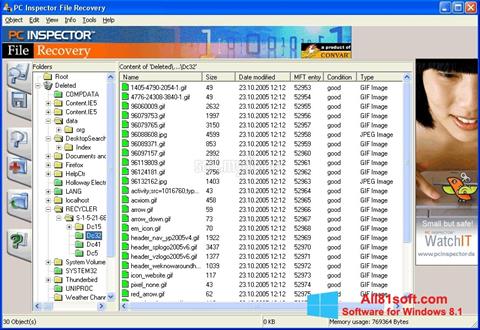 Ảnh chụp màn hình PC Inspector File Recovery cho Windows 8.1