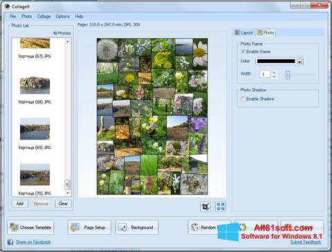 Ảnh chụp màn hình CollageIt cho Windows 8.1