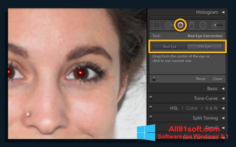 Ảnh chụp màn hình Red Eye Remover cho Windows 8.1